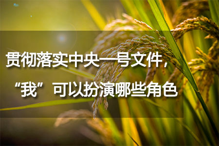 貫徹落實(shí)中央一號(hào)文件，“我”可以扮演哪些角色？